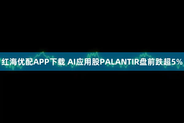 红海优配APP下载 AI应用股PALANTIR盘前跌超5%